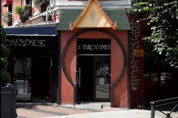 orchidee_chelles_mes_magasins_fr