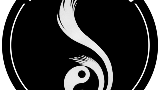 TAI CHI CHUAN CLUB VITRY 94 – Vitry-sur-Seine