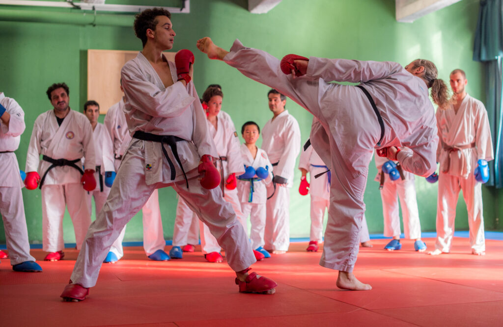 TOUT DOUX ET TAEKWONDO CLUB DE VITRY – Vitry-sur-Seine2