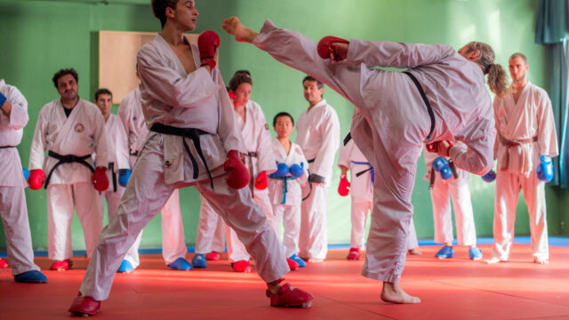 TOUT DOUX ET TAEKWONDO CLUB DE VITRY – Vitry-sur-Seine2