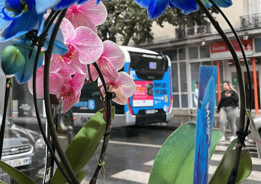 fleuriste-tazwar-debeaupuis-vitry-sur-seine1